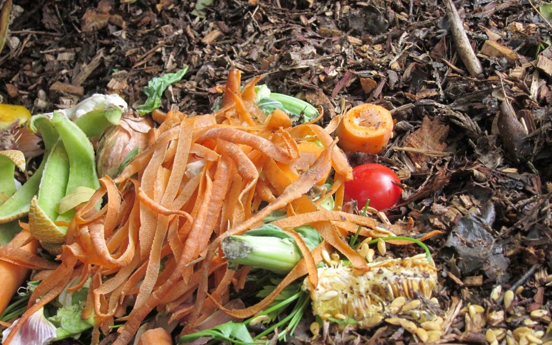 Comment faire du compostage maison